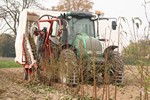 Fruit trees - Nursery Farm Wieczorek